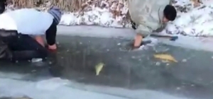 Buz tutan nehirde elleriyle balık avladılar
Eğlenceli görüntüler cep telefonu kamerasına yansıdı