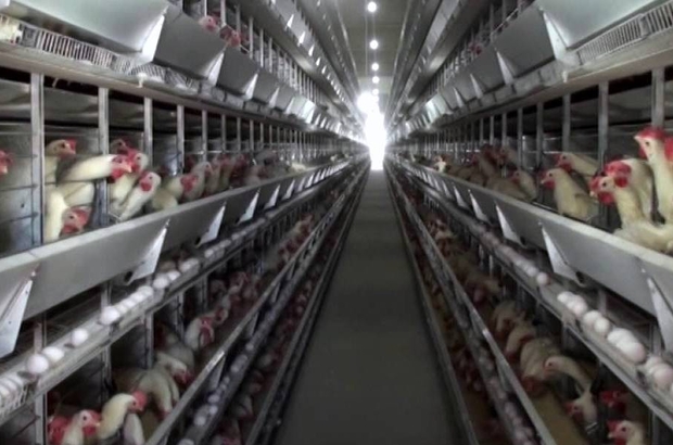 3 Bin 640 Personel 1 Haftada Asilanacak Bursa Haberleri