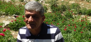 'Ayı Gülü' çiçeğini koparana 80 bin 465 lira ceza var
Doğa Koruma ve Milli...