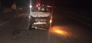 Otomobil sürüye daldı, 14 koyun telef oldu