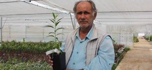 Emekli akademisyen modern sera kurdu, topraksız meyve fidanı üretiyor
Kış m...