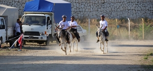En hızlı ve en güzel gözlü eşek yarışları yapıldı