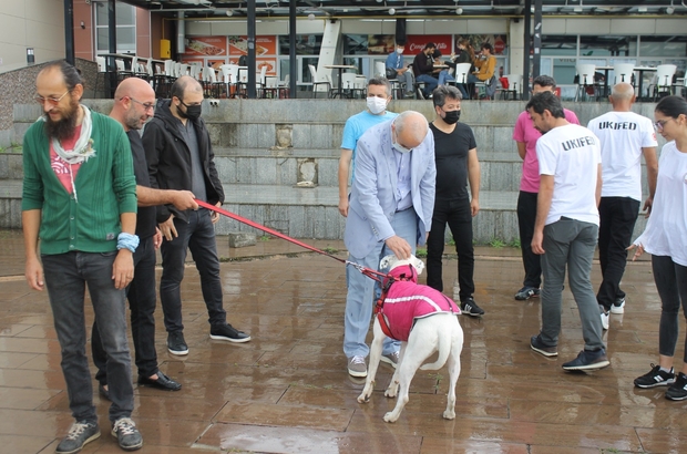 Omu Calisani Ve Ogrencilerine Afad Dan Temel Kopek Egitimi Samsun Haberleri