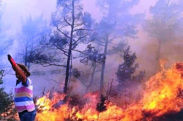 mentese de orman yangini mugla haberleri