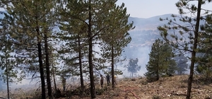 Konya’da çıkan orman yangını kontrol altına alındı