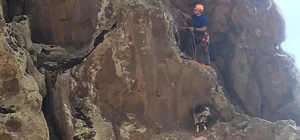 Kayalıklarda mahsur kalan keçiyi AFAD ekipleri kurtardı