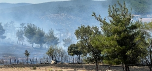 Bakan Pakdemirli: "Çanakkale’deki orman yangını kontrol altına alındı"