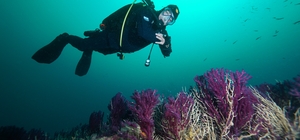 Nesli tükenmekte olan kırmızı mercanlar, Çanakkale Boğazı’ndaki batık gemilerde hayat buluyor
Çanakkale Boğazı’ndaki batıklara dalış turizmi gelişiyor
Başkan Ceylan, Çanakkale Boğazı’ndaki Kaptan Frangos batığına daldı