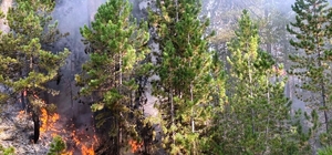 Burdur'daki orman yangını büyümeden söndürüldü