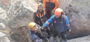Dehlizde mahsur kalan oğlağı AFAD kayayı delerek kurtardı
