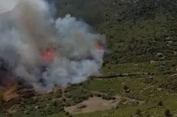 Burdur Bucak Ta Orman Yangini Daglik Alanda Cikan Yangina Havadan Karadan Mudahale Ediliyor Antalya Haberleri