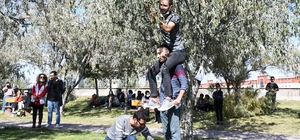 İğde hasat şenliğinde iğde toplayıp kıyasıya yarıştılar