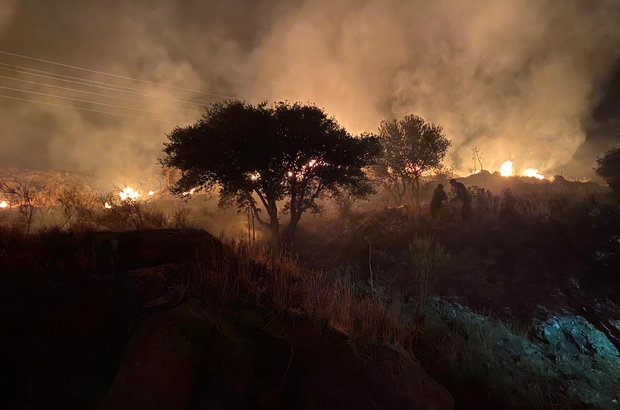 Bodrum’daki yangında 10 dönün makilik alan zarar gördü
