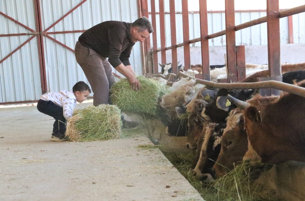 Hayal Bile Edemezdik Diyen Muhtar Tkdk Dan Aldigi Destek Ile Koyunu Tavuk Ve Besi Ciftligine Dondurdu Elazig Haberleri Hayal Bile Edemezdik Diyen Muhtar Tkdk Dan Aldigi Destek Ile Koyunu Tavuk Ve Besi Ciftligine Dondurdu Elazig Haberleri