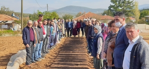 Denizli kekiği Barza toprakları ile buluşuyor