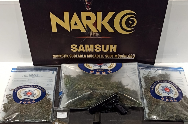 samsun da esrarla yakalanan 3 kisi gozaltina alindi samsun haberleri samsun da esrarla yakalanan 3 kisi gozaltina alindi samsun haberleri