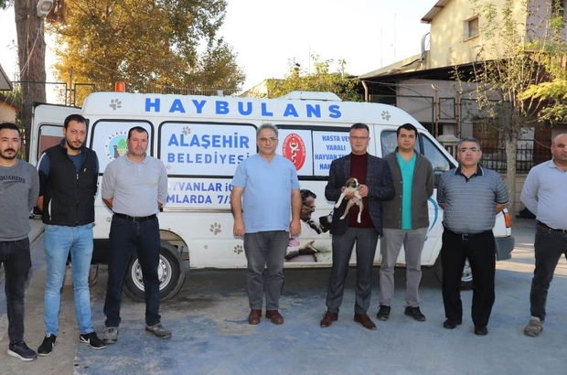 Alaşehir Belediyesinden sokak hayvanları için 'Haybulans' hizmeti