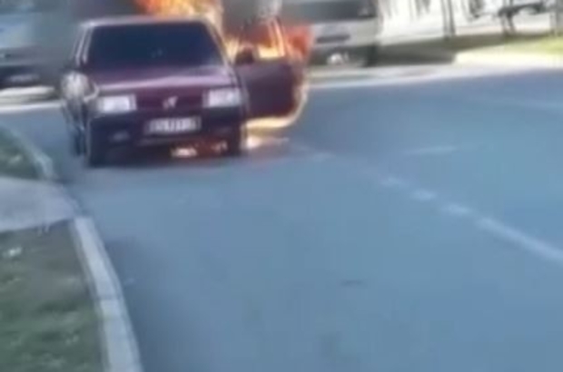 Saygi Durusunda Yerinden Bir An Olsun Kipirdamayan Kopek Gorenleri Duygulandirdi 10 Kasim Ataturk U Anma Gununde Sirenlerin Calmasiyla Birlikte Saygi Durusuna Gecen Vatandaslara Bir Sokak Kopegi De Eslik Etti Antalya Haberleri