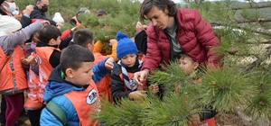 İlkokul öğrencileri tohumdan fidana uzanan süreci doğada öğrendiler