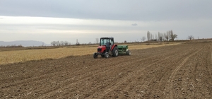 Yüzde 50 hibeli olarak 100 ton makarnalık buğday tohumluğu dağıtıldı