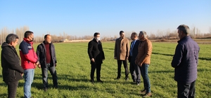 Karakoyunlu'da tarla günü düzenlendi