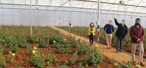 Kadın girişimci devlet desteğiyle kurduğu sera ile örnek oldu
7 bin 800 met...