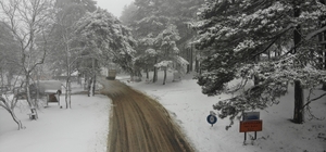 Kazdağları’nda kar şiddetini artırarak devam ediyor
Edremit Belediyesi ve Karayolları ekipleri Kazdağları’nda karla mücadele ediyor
