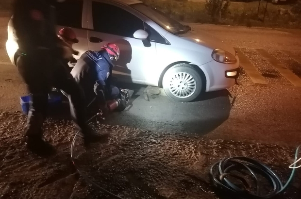 sinema aç ege sso