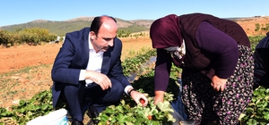 Konya Büyükşehir’den 2021’de tarıma 33 milyon lira destek