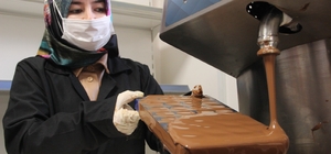 Kadınlar ‘İncila’ ile Türkiye'nin ve dünyanın ağzını tatlandıracak
Kadınlar kooperatifte kurulan atölyede günde 400 kilogram doğal çikolata üretiyor
Vali Gökmen Çiçek: “Kadınlar Türkiye’nin her yerine Evciler çikolatası gönderiyor”