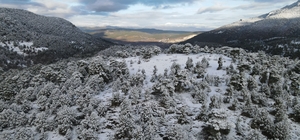 Yeşille beyazın birleşmesi kendine hayran bıraktırdı