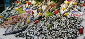 Olumsuz hava balıkçıları vurdu, fiyatlar yükseldi
Karadeniz açıklarında etk...