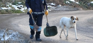 Temizliğe her sabah birlikte başlayıp birlikte bitiriyorlar
'Beyaz' 1,5 yıldır mesaisini hiç aksatmıyor
Belediye temizlik görevlisi Abdulbari Çimen, her sabah kendisine eşlik eden 'Beyaz' ismini verdiği sokak köpeği ile sokakları süpürüyor
