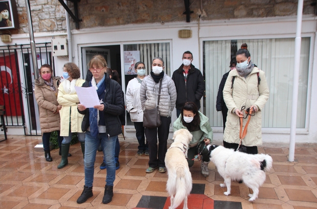 Bodrum'da hayvanseverler şiddet olaylarına dikkati çekti