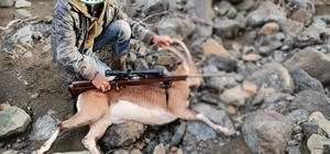 Avcılar yaban keçilerini vurduklarına pişman oldu
4 yaban keçisi vuran 6 kişiye para cezası kesildi