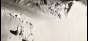 Kurtla köpeklerin kavgasını maç anlatır gibi anlattı
Köye inen aç kurt köpeğe saldırdı