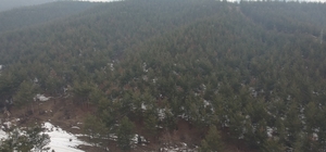 30 milyon ağaç dikerek bölgenin geleceğine dokundu
Kurak araziyi ormana çev...