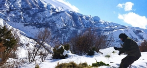 Bingöl’de yaban hayvanlarını yemleme çalışmaları sürüyor