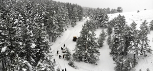 Erzincan'da 142 köy yolu kar ve tipiden ulaşıma kapandı