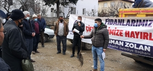 Denizli'de 2017’den bugüne kadar 380 bin ceviz fidanı dağıtıldı