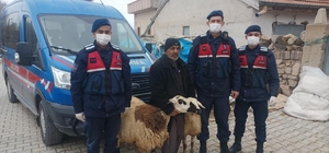 Çalınan koyunlarını bulan jandarmaya teşekkür edip dualarla uğurladı