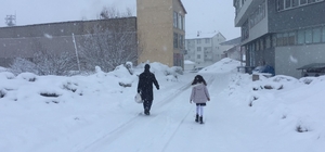 Bingöl'ün 2 ilçesine kar engeli