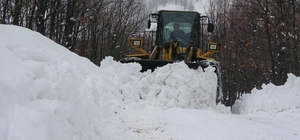Bingöl'de kar 65 köy yolunu ulaşıma kapattı