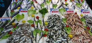 Olumsuz hava ve akaryakıt fiyatları balık tezgahlarına yansıdı
Balıkçılar:...