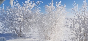 Sivas Mart ayında buz kesti, en soğuk ikinci yer oldu
Mart ayında Sibirya s...