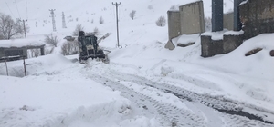 Şırnak’ta kardan kapanan köy yollarında çalışmalar devam ediyor