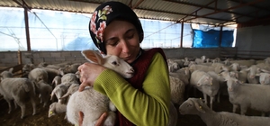 Yolu kapatılan besici kadın hayvanları için gözyaşlarına boğuldu
Adana’nın besicilik yapan bir kadın 155 koyun, 60 kuzusu ve 250 tavuğuna yem getiremez oldu
Dört kuzusu yol kapandığı için yem getiremediklerinden telef oldu