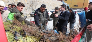 Sarıveliler ilçesinde vatandaşlara fidan dağıtıldı