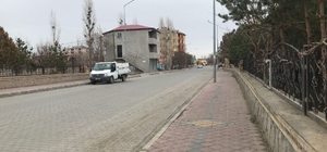 Iğdır'da "mavi dil" hastalığı tedirgin etti