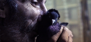 Sahibinin ömrünü uzatan güvercin: Kelkit Tepelisi
Kelkit Tepelisi tescil be...